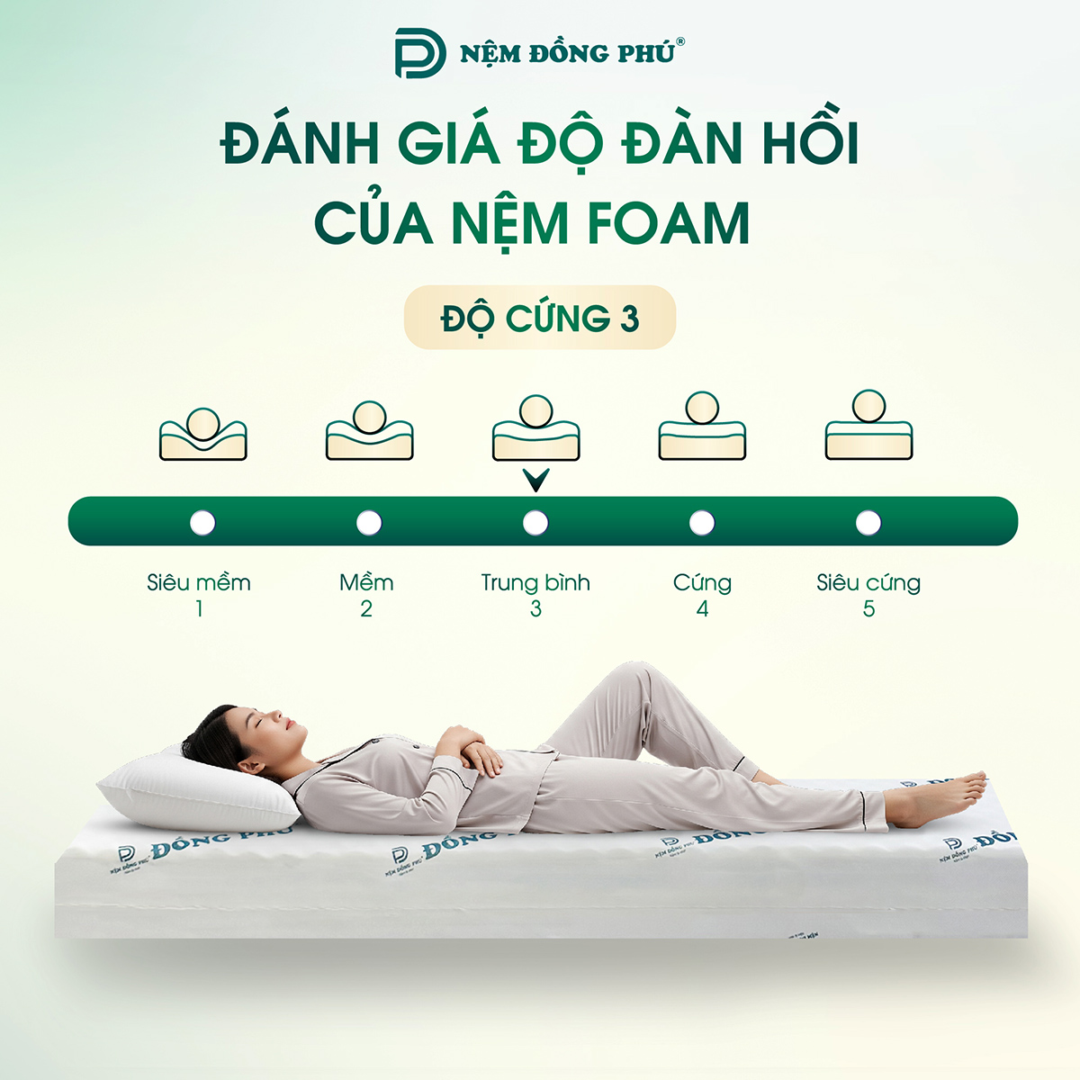 nem-foam-dong-phu-11 Nệm 1m2x1m6 Foam Đồng Phú