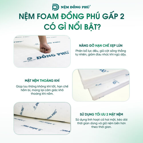 nem foam dong phu gap 2 4