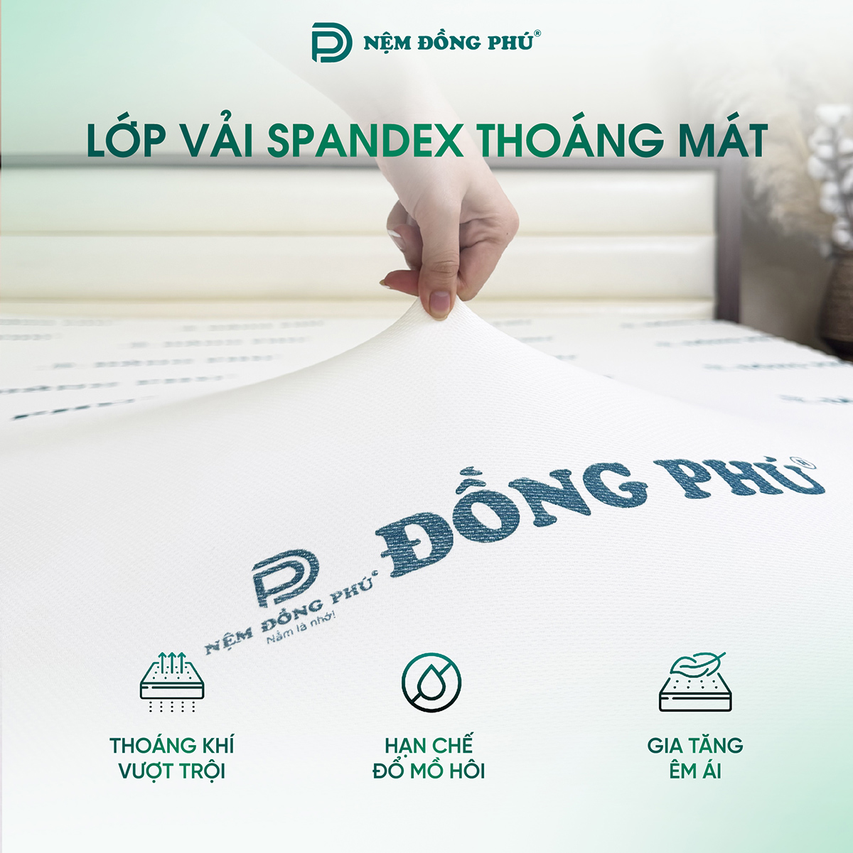 nem-foam-dong-phu-gap-2-5 nem foam dong phu gap 2 5