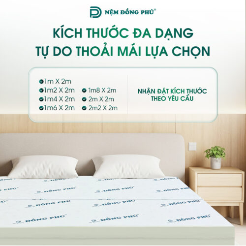 nem foam dong phu gap 2 6