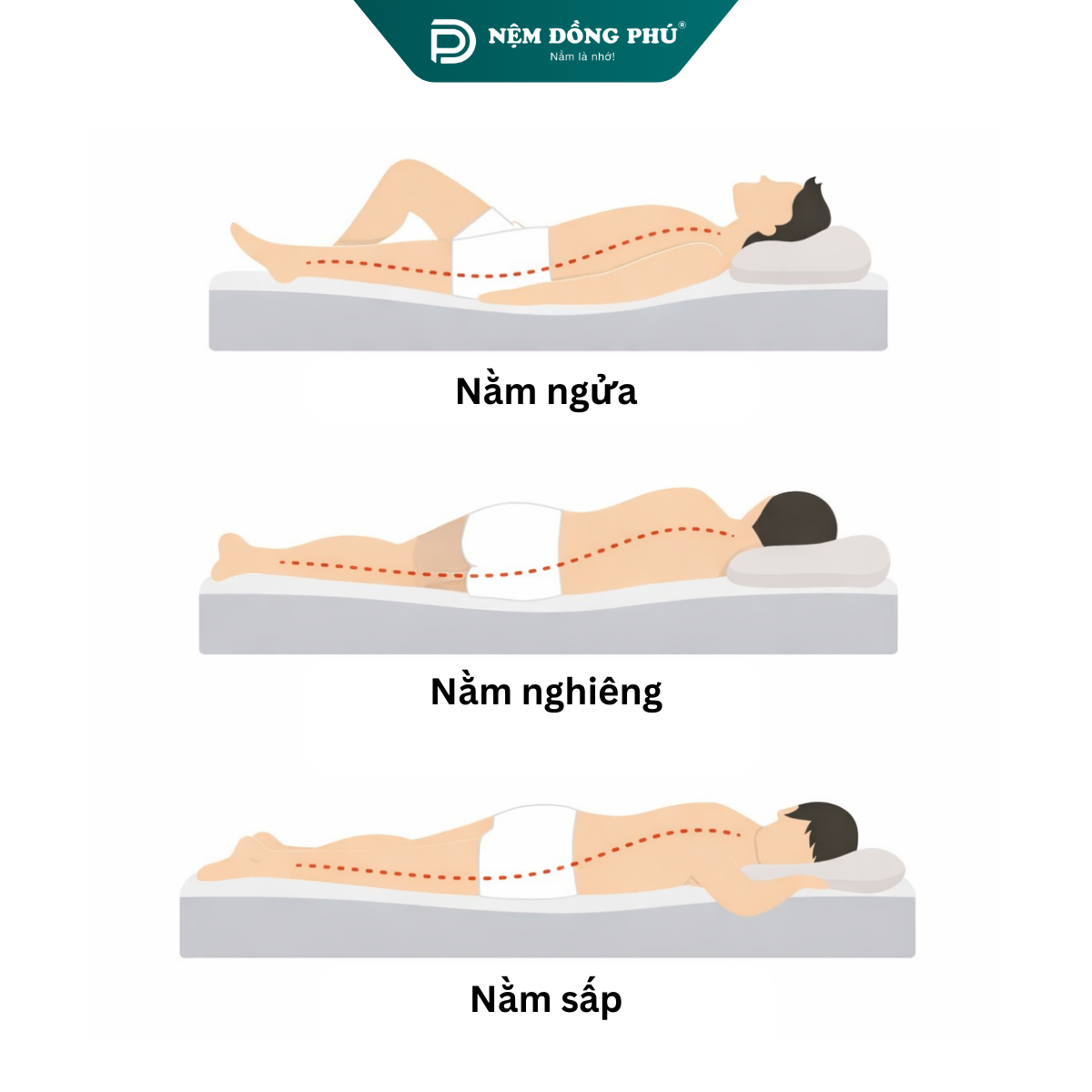 Lựa chọn đệm phù hợp theo tư thế ngủ - ngửa, nghiêng và sấp