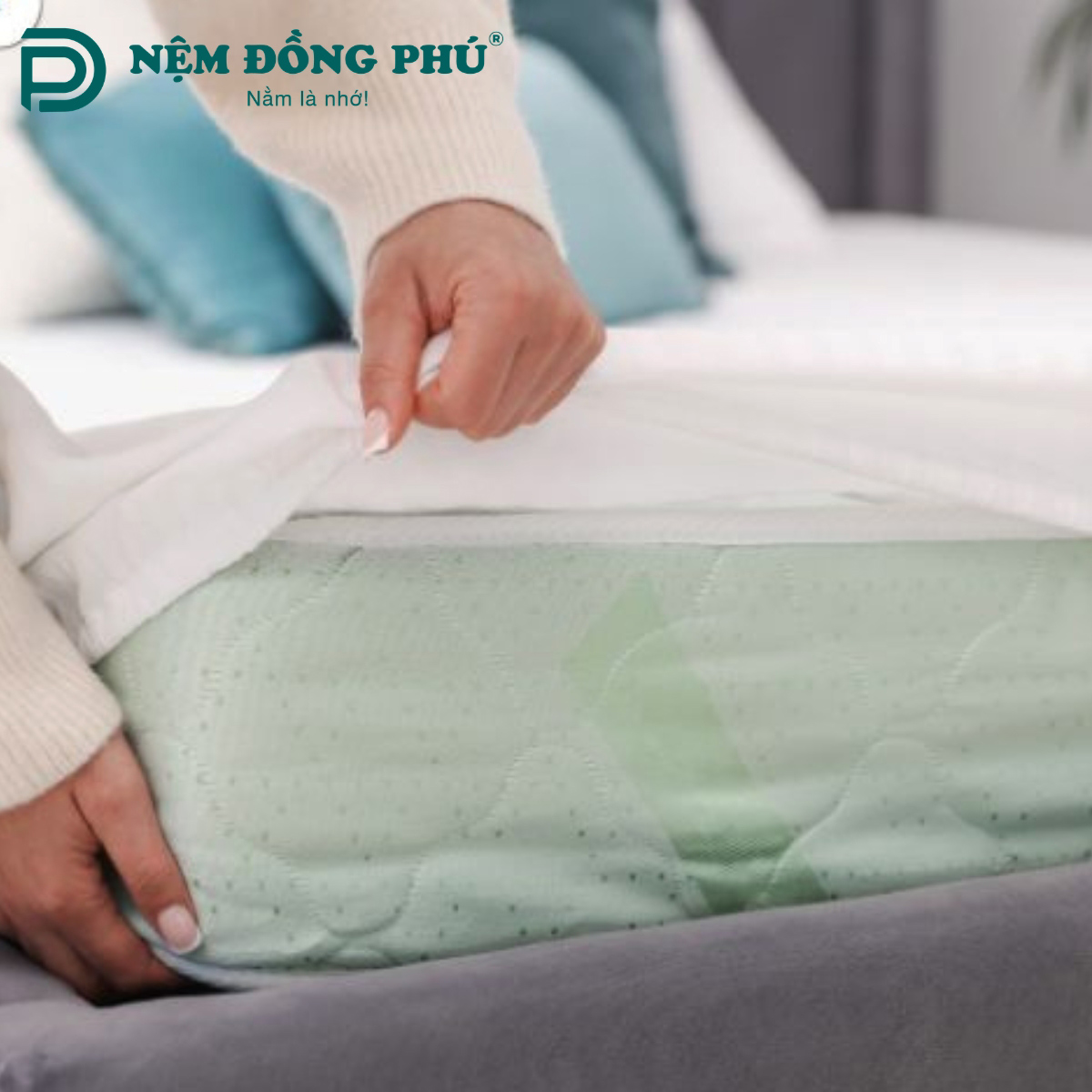 Cách giặt đệm bông ép tại nhà đúng cách hiệu quả cao Cách giặt đệm bông ép tại nhà đúng cách hiệu quả cao