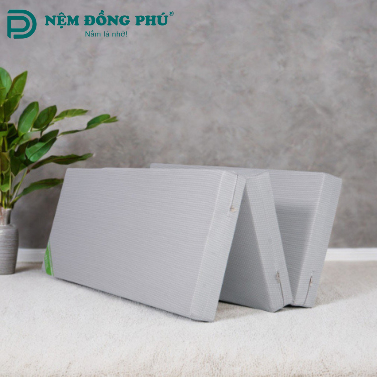 Khi nào thì nên thay đệm bông ép mới? Khi nào thì nên thay đệm bông ép mới?