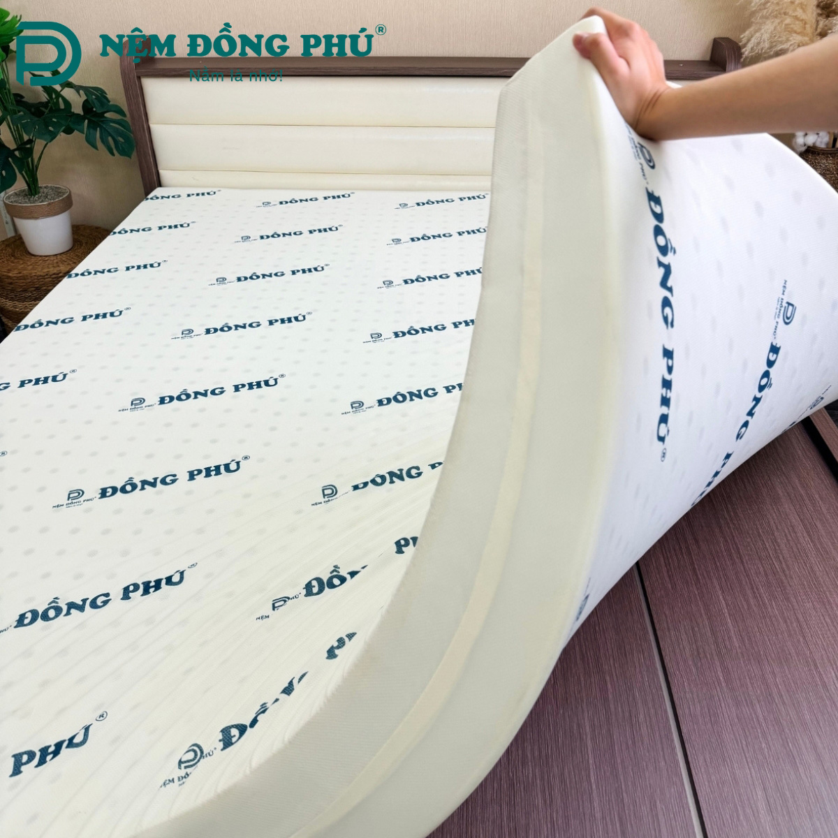 Nệm Đồng Phú là thương hiệu nệm cao cấp Nệm Đồng Phú là thương hiệu nệm cao cấp