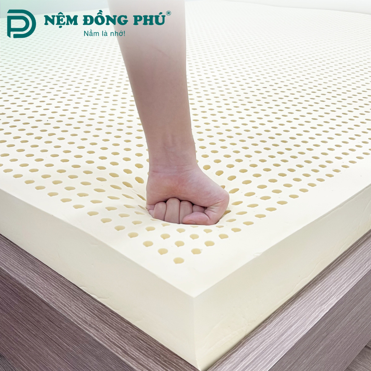 Nệm Cao Su Thiên Nhiên Đồng Phú Nệm Cao Su Thiên Nhiên Đồng Phú