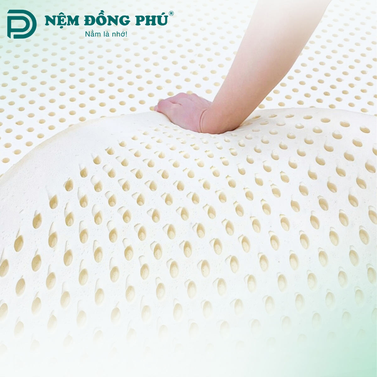 Nệm cao su thiên nhiên là lựa chọn lý tường cho ai thích sự êm ái và đàn hồi tốt Nệm cao su thiên nhiên là lựa chọn lý tường cho ai thích sự êm ái và đàn hồi tốt