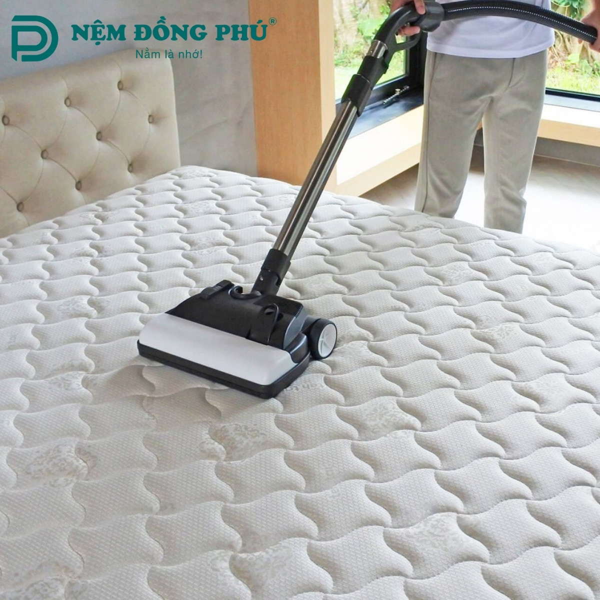 Dấu hiệu nào cho chúng ta có thể áp dụng cách giặt nệm khô Dấu hiệu nào cho chúng ta có thể áp dụng cách giặt nệm khô