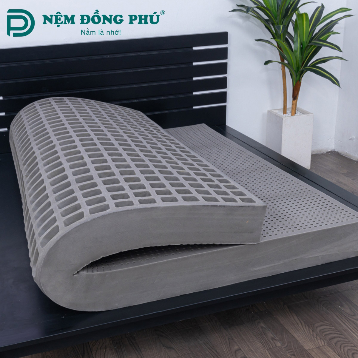 Nệm foam than hoạt tính là gì? Nệm foam than hoạt tính là gì?