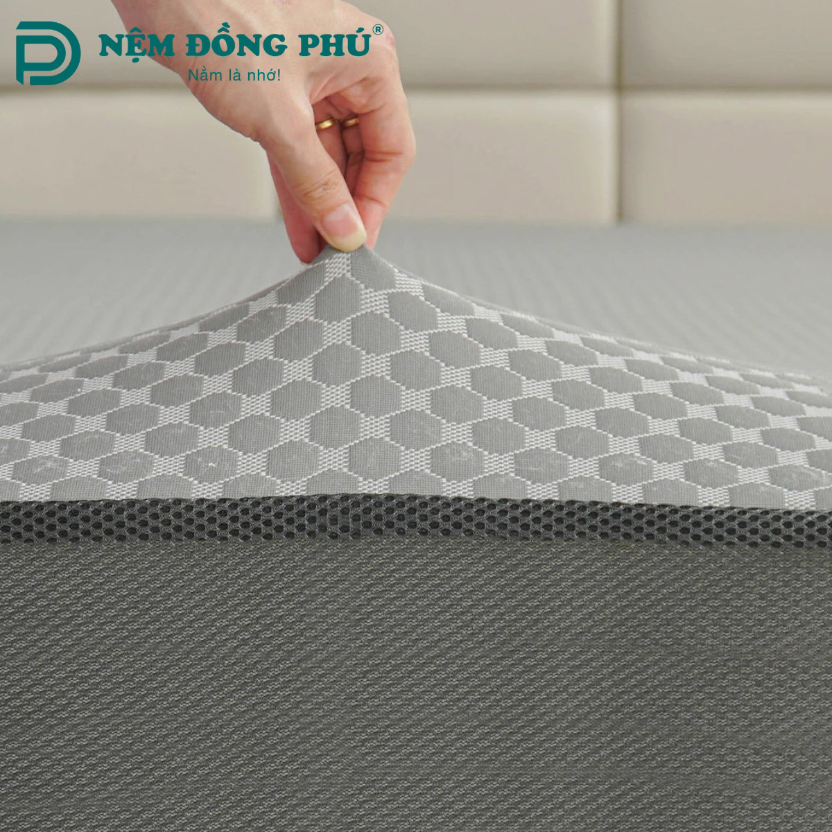 Mua nệm foam than hoạt tính ở đâu uy tín? Mua nệm foam than hoạt tính ở đâu uy tín?