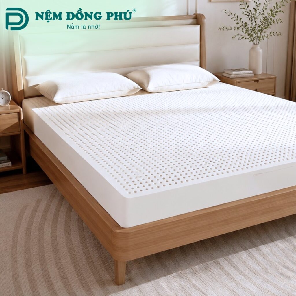 Kinh nghiệm mua nệm cao su uy tín chất lượng