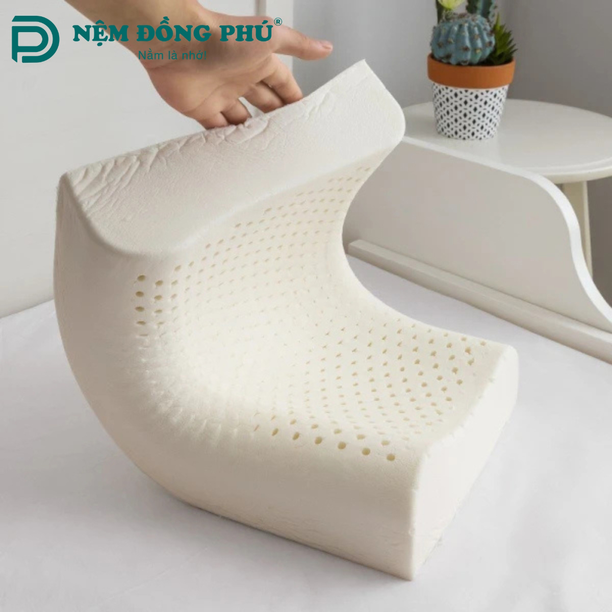 Vì sao gối cao su được nhiều người lựa chọn? Vì sao gối cao su được nhiều người lựa chọn?