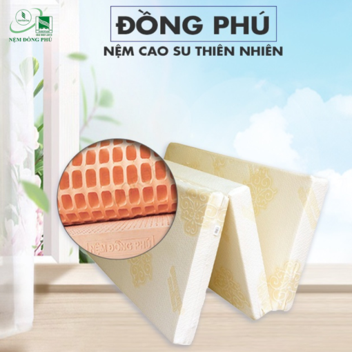 Nệm cao su Đồng Phú gấp 3 1mx2m được làm từ 100% mủ cao su tự nhiên, mang lại sự an toàn tuyệt đối cho sức khỏe người dùng