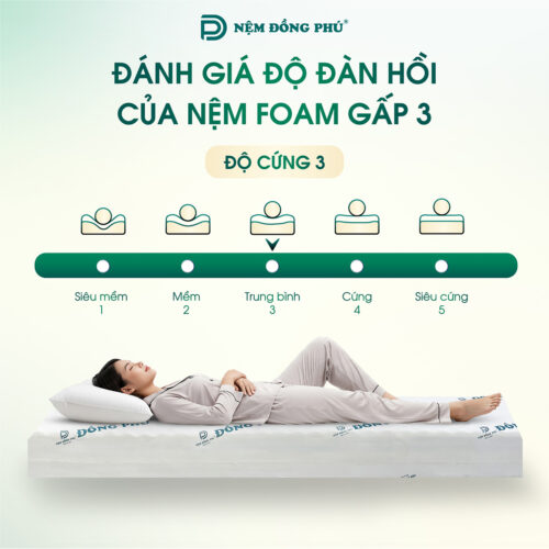 nem foam dong phu gap 3 11