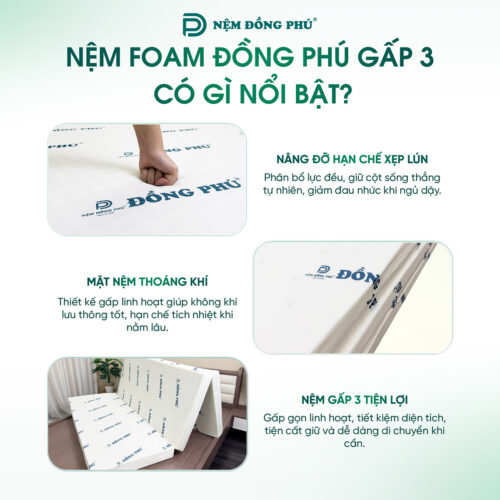nem foam dong phu gap 3 13