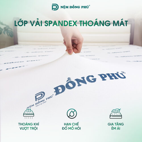 nem foam dong phu gap 3 14