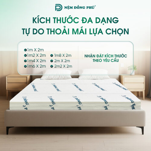 nem foam dong phu gap 3 15