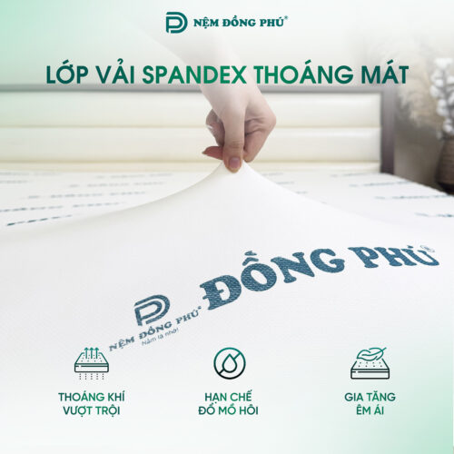 Vỏ nệm 1mx1m6 làm bằng chất liệu Spandex cao cấp