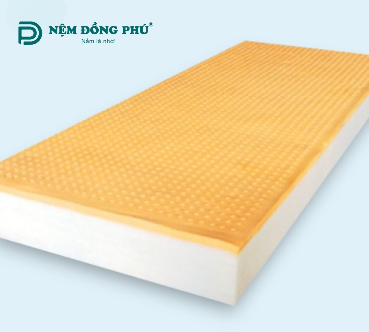 Nệm gòn ép mặt cao su Đồng Phú 1m8 x 2m