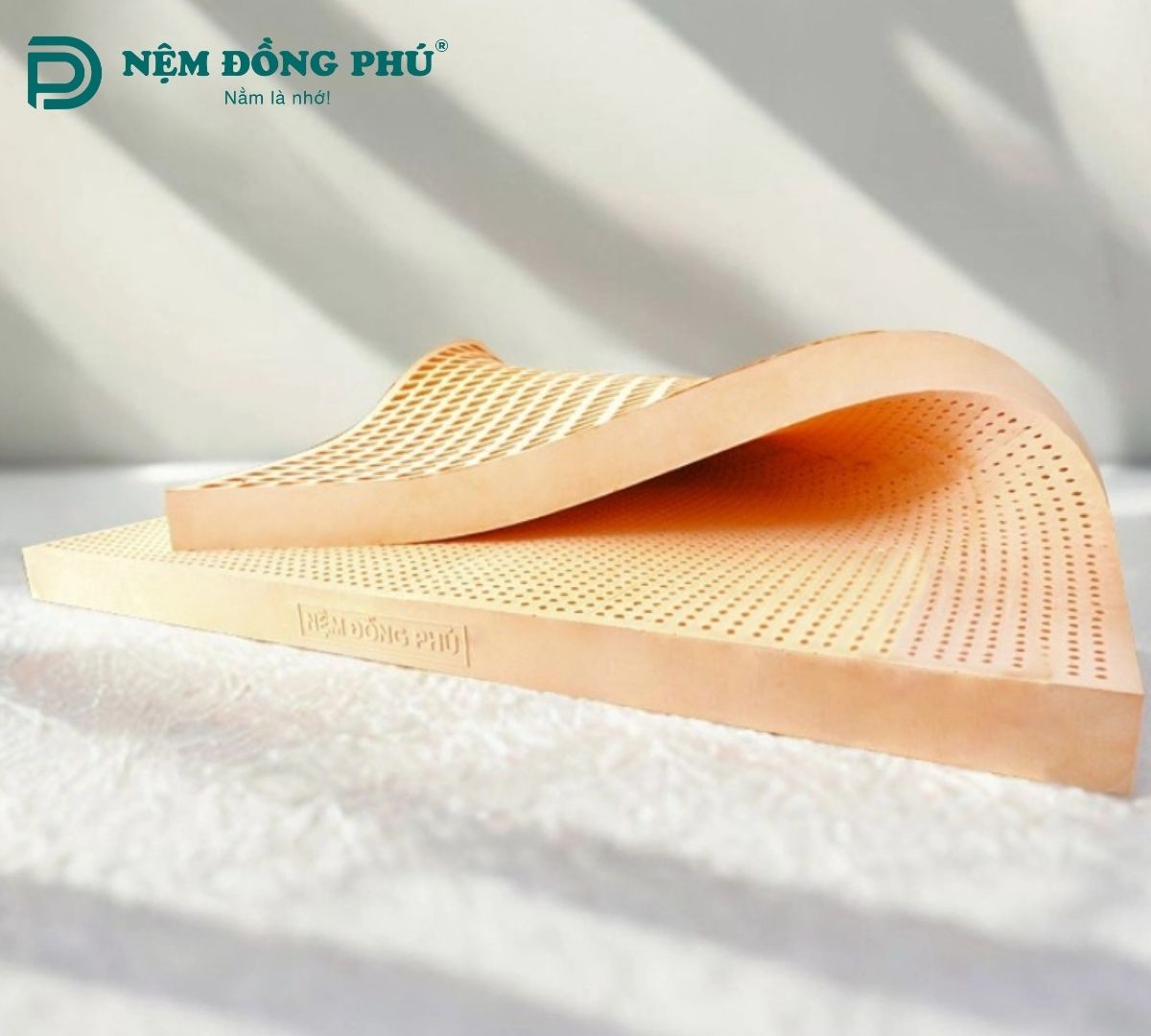 Nệm cao su Đồng Phú Friendly 1m6 x 2m