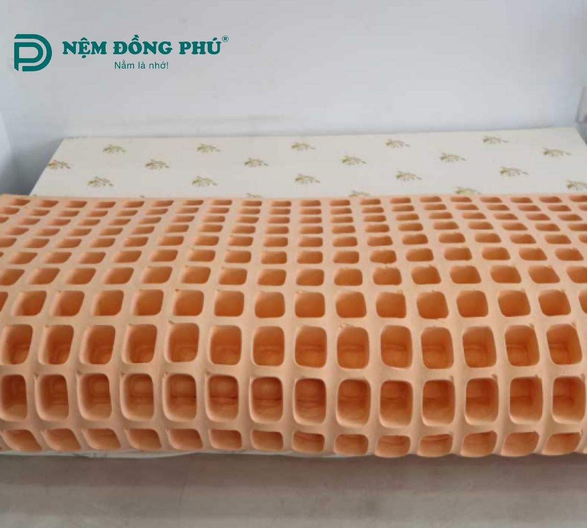 Nệm cao su Đồng Phú Friendly 1m4 x 2m