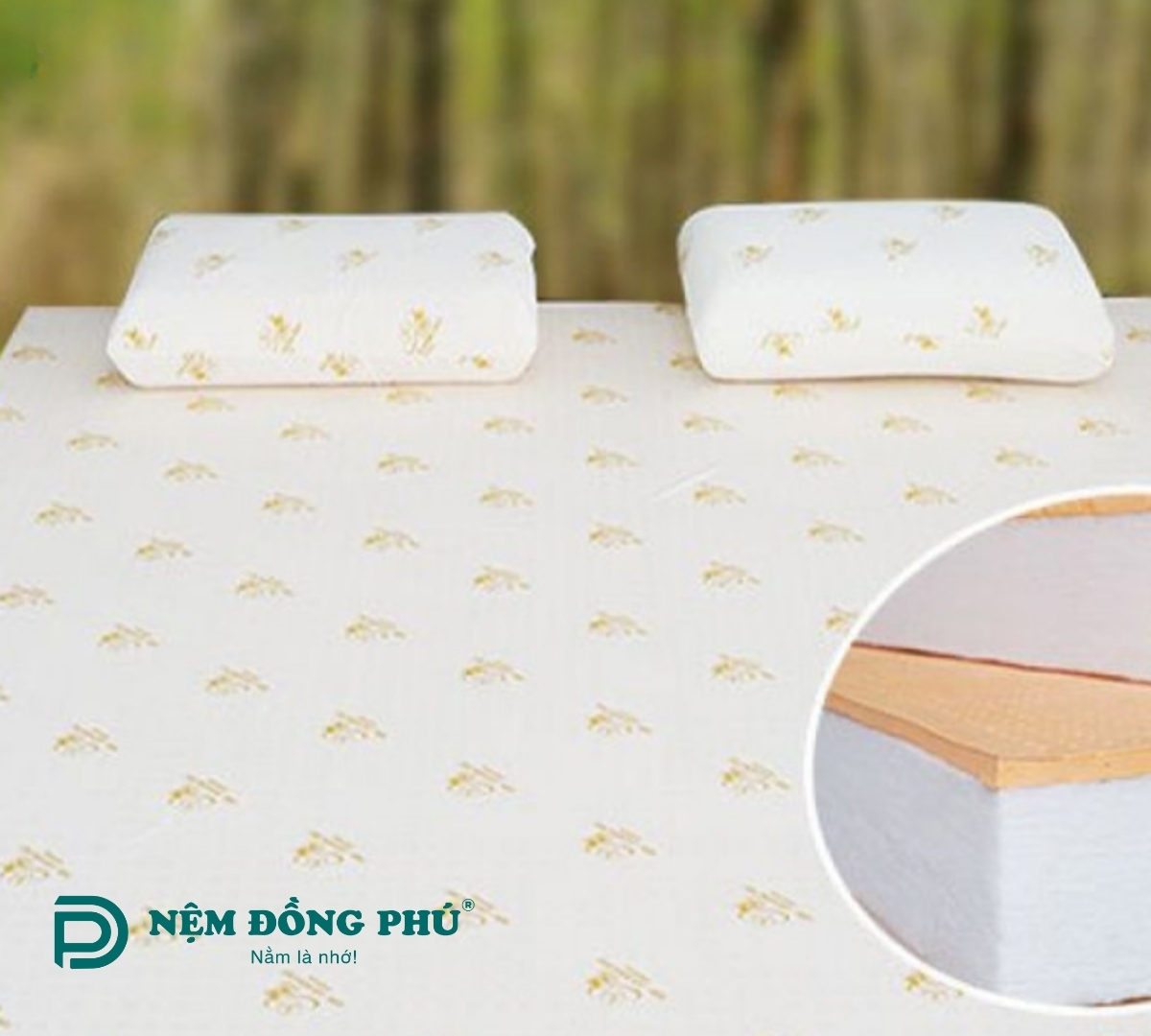 Nệm gòn ép Đồng Phú 1m2 x 2m
