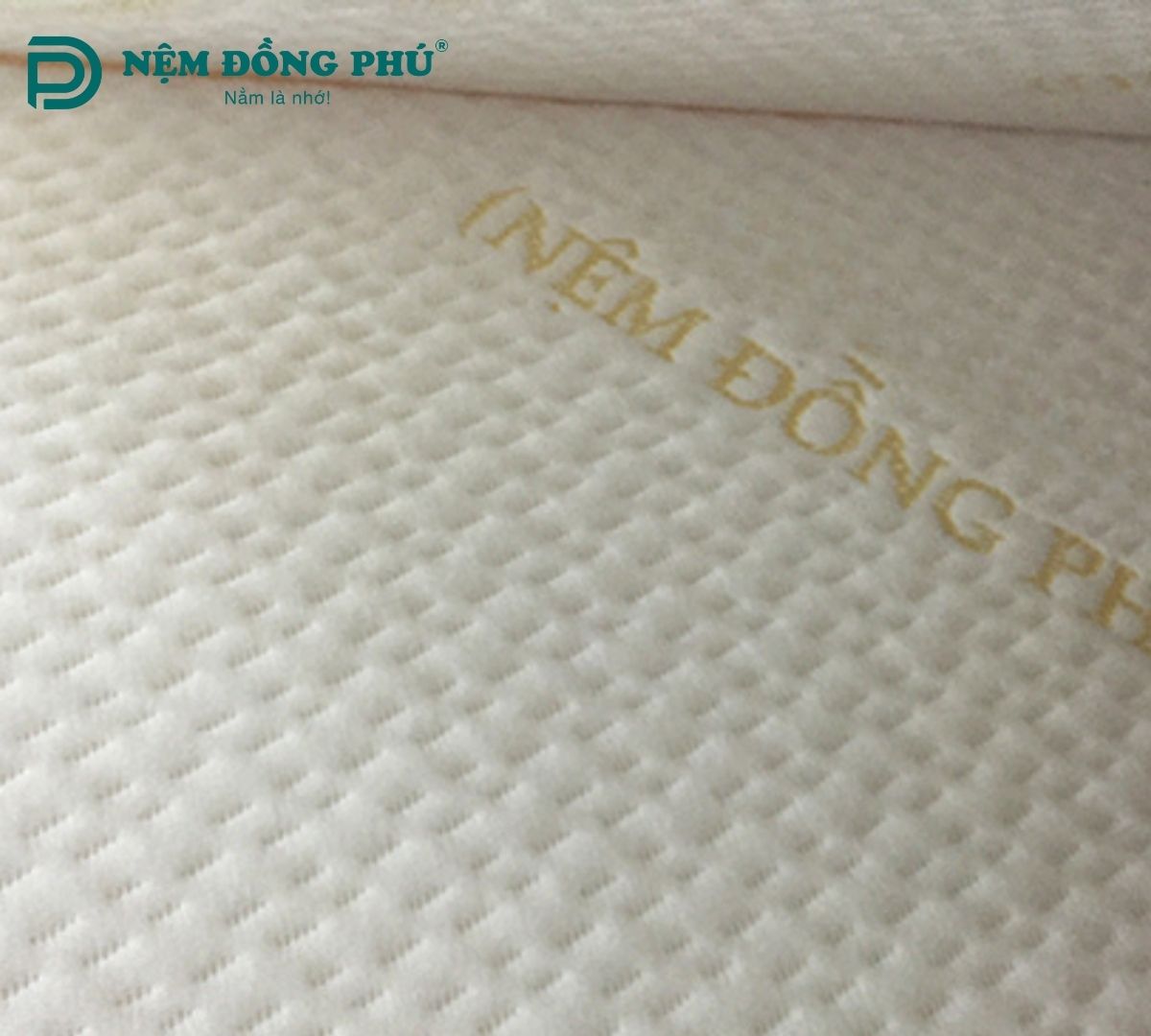 Nệm gòn ép sở hữu nhiều ưu điểm vượt trội