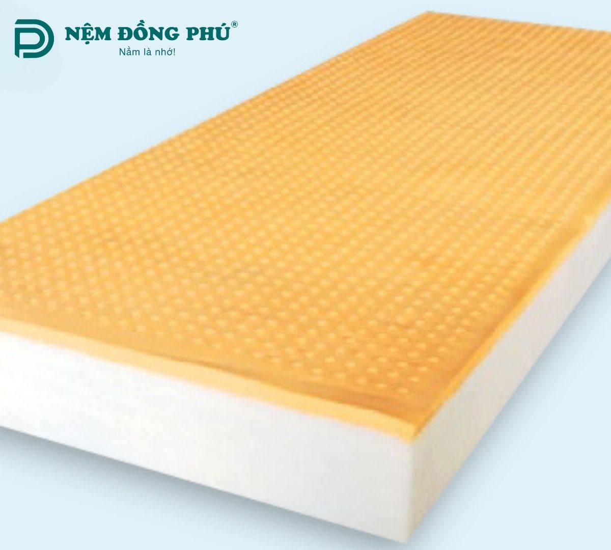 Nệm gòn ép Đồng Phú