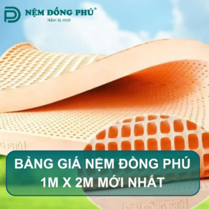 Bảng giá nệm Đồng Phú 1m x 2m mới nhất