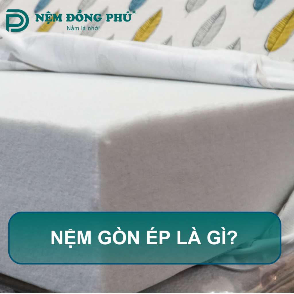 Nệm gòn ép là gì?