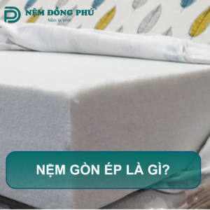 Nệm gòn ép là gì?