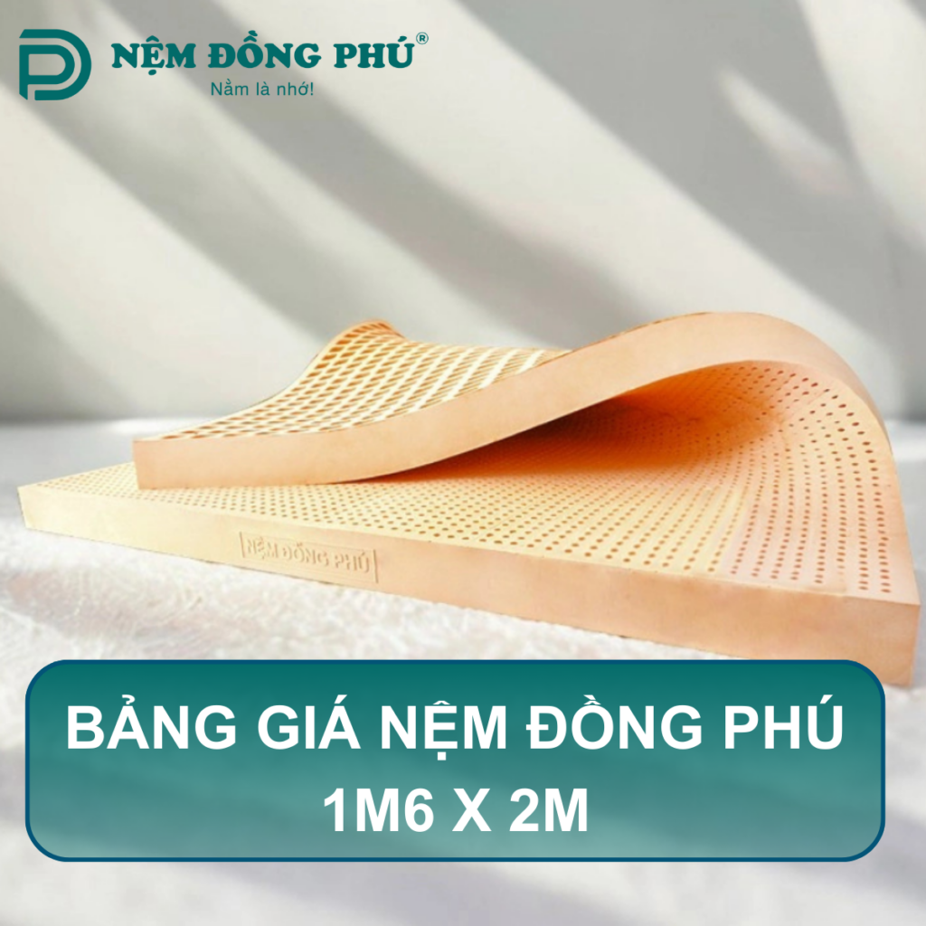 Bảng giá nệm Đồng Phú 1m6 x 2m