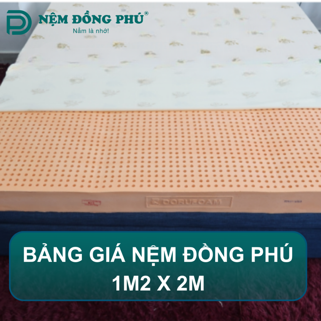 Bảng giá nệm Đồng Phú 1m2 x 2m