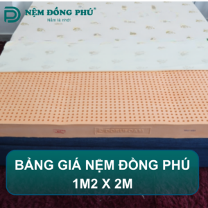 Bảng giá nệm Đồng Phú 1m2 x 2m