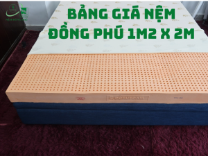 bang gia nem dong phu 1m2 x 2m