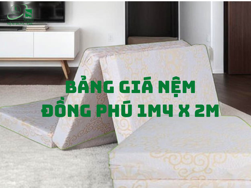 bang gia nem dong phu 1m4 x 2m