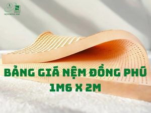 bang gia nem dong phu 1m6 x 2m