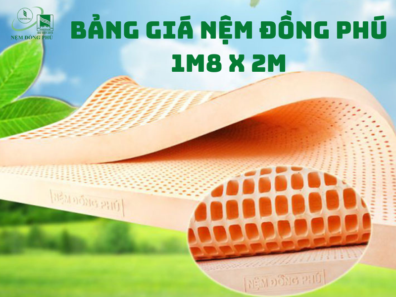 bang gia nem dong phu 1m8 x 2m