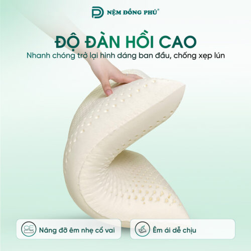 goi oval cao su thien nhien 2