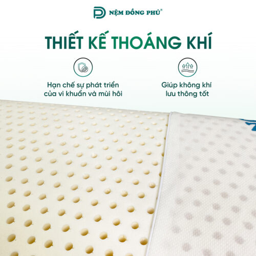 goi oval cao su thien nhien 3