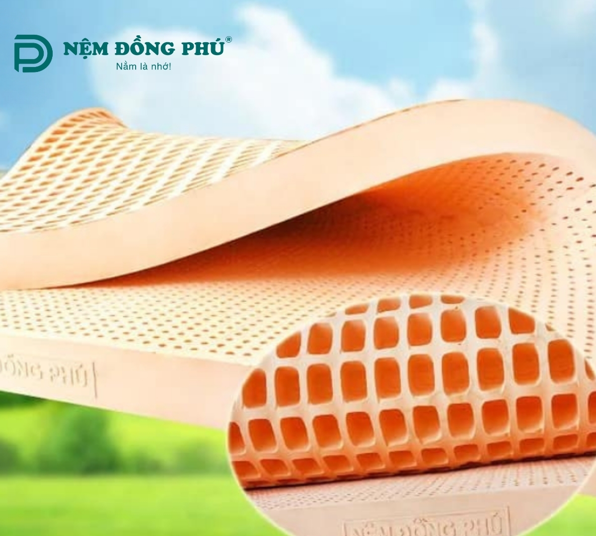 Nệm cao su thiên nhiên Friendly Đồng Phú 1m x 2m