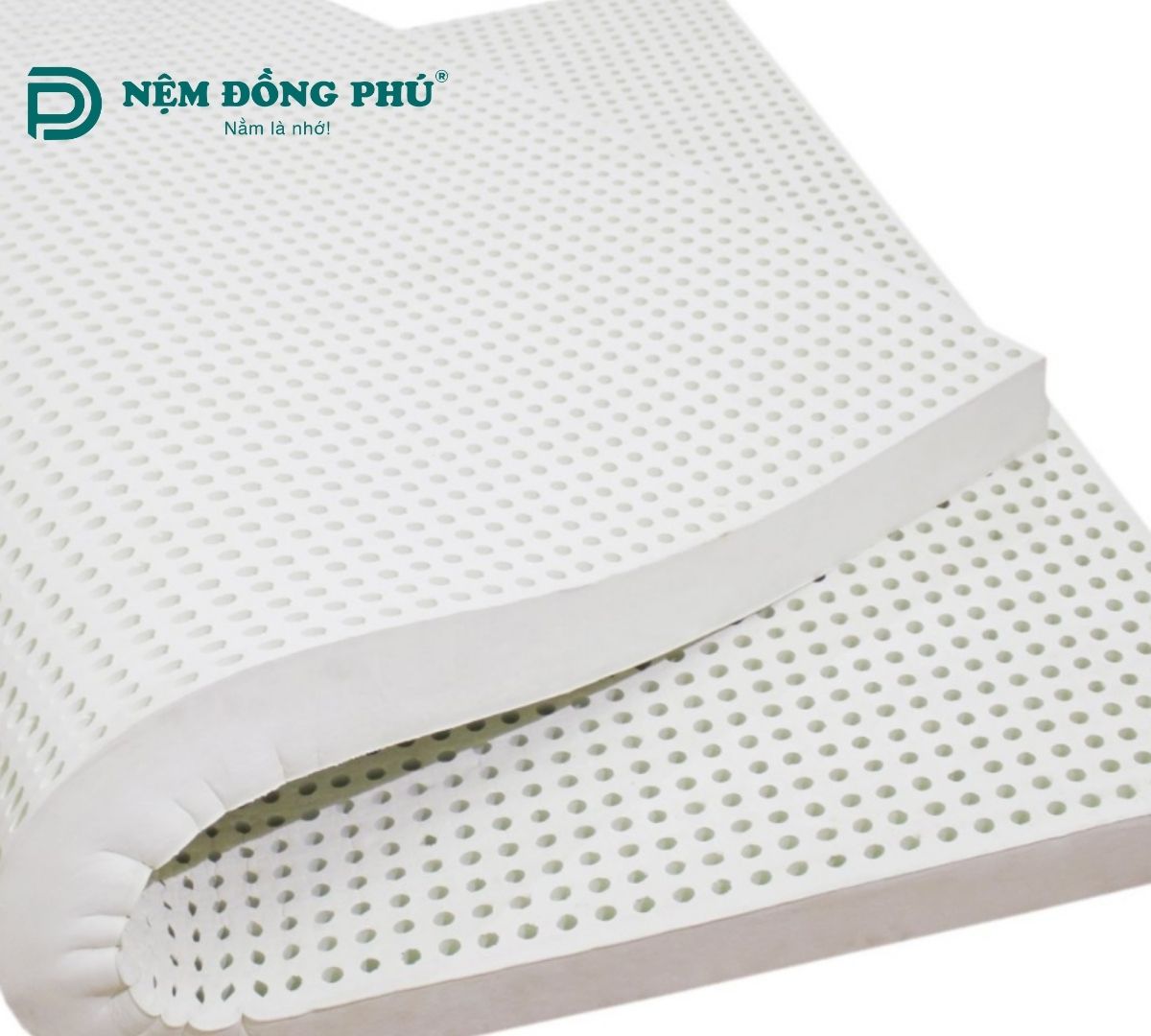 Nệm cao su Đồng Phú Deluxe 1m4 x 2m