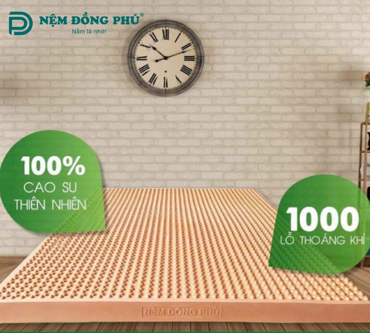 Nệm cao su Đồng Phú Massage 1m6 x 2m