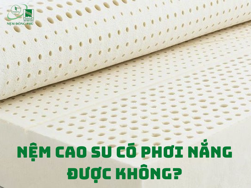 nem cao su co phoi nang duoc khong1