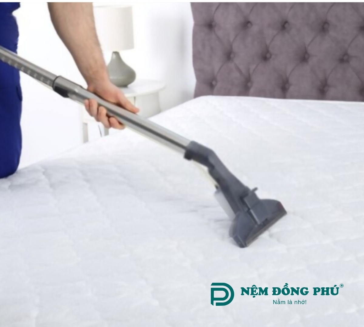Vệ sinh nệm đúng cách không chỉ giúp nệm sạch sẽ mà còn bảo vệ cấu trúc và tính năng của nệm