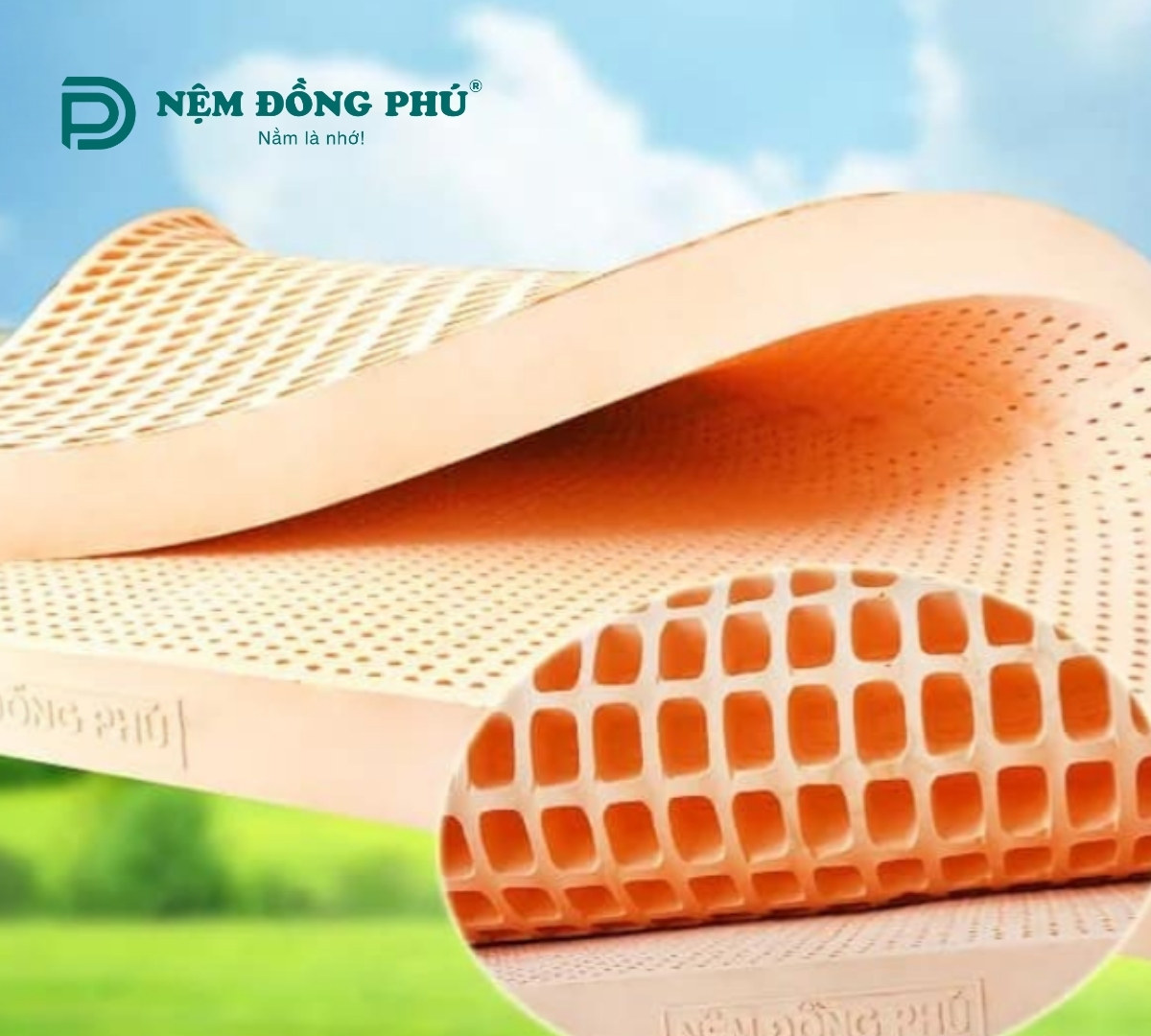 Nệm cao su Đồng Phú Friendly