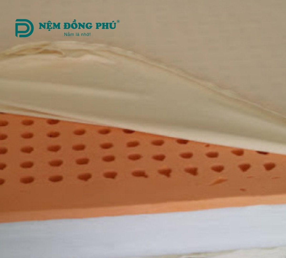 Nệm gòn ép mặt cao su Đồng Phú