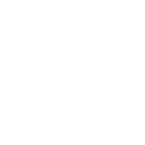 gia tri cot loi nem dong phu