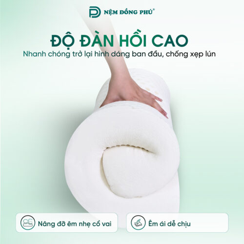 goi luon song cao su thien nhien dong phu 2