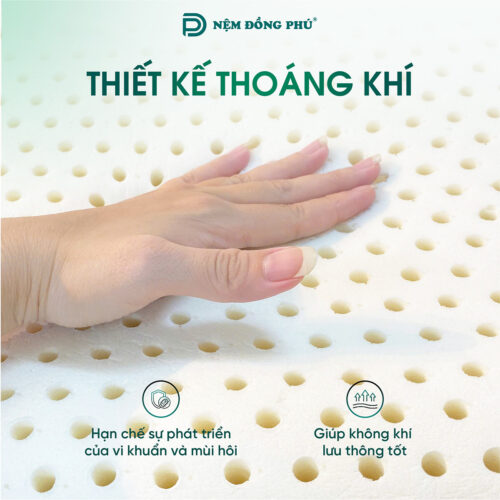 goi luon song cao su thien nhien dong phu 3