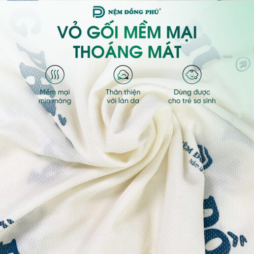 goi luon song cao su thien nhien dong phu 6